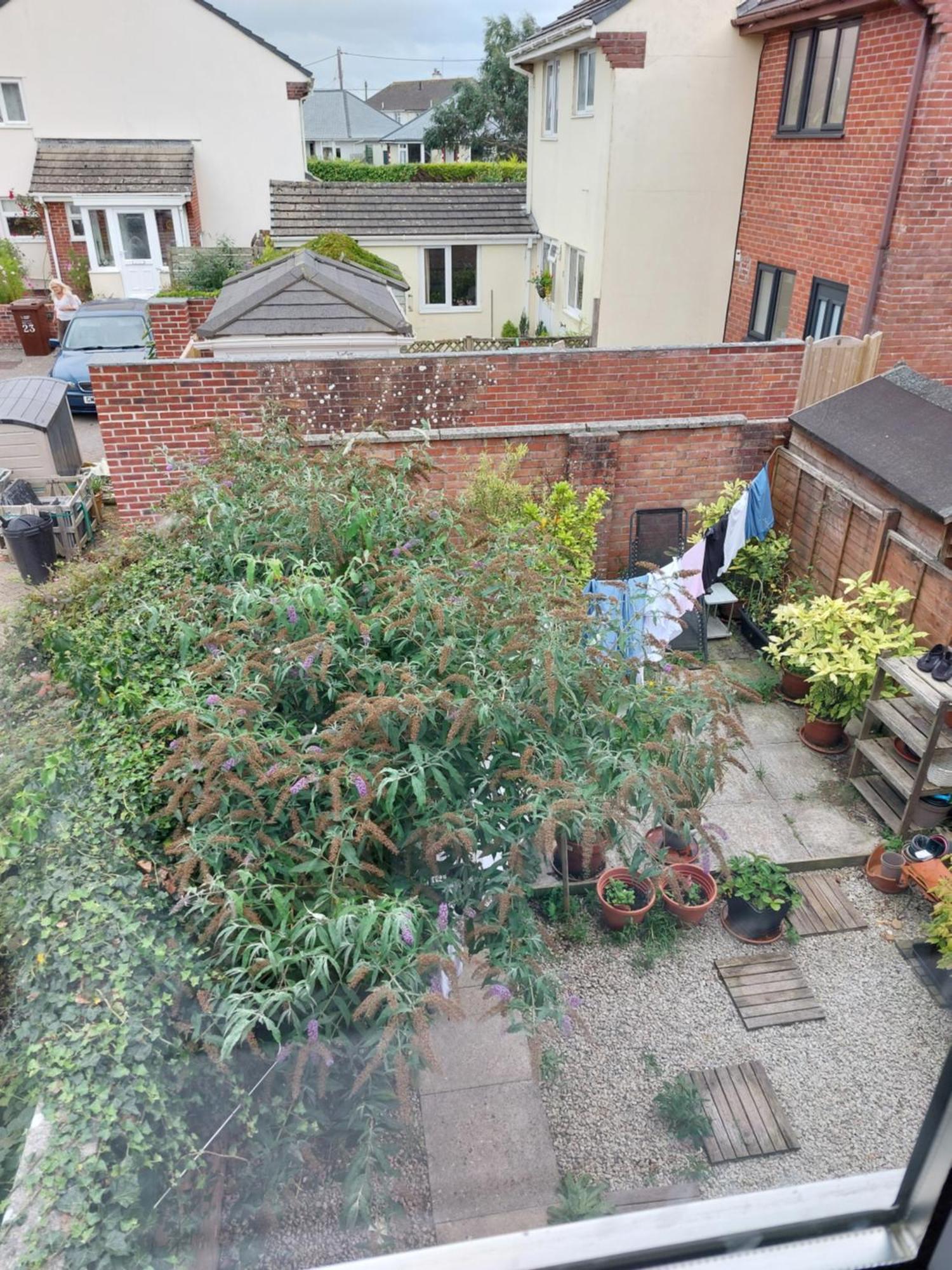 Bude Homestay Stratton  Zewnętrze zdjęcie